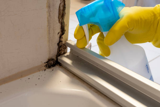 Best Post-Remediation Services in Moss Beach, CA