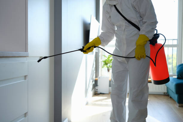 Best Basement Mold Remediation in Moss Beach, CA