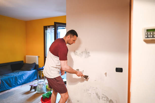 Best Black Mold Remediation in Moss Beach, CA